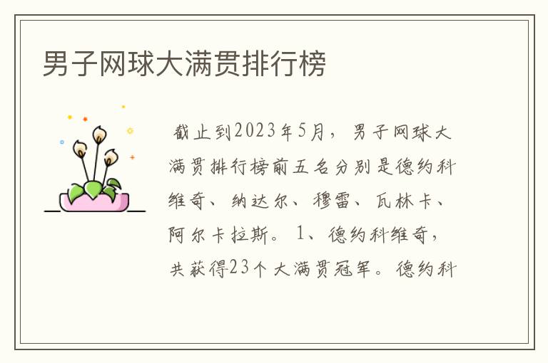 男子网球大满贯排行榜