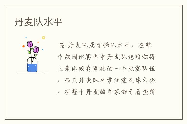 丹麦队水平
