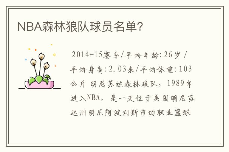 NBA森林狼队球员名单?