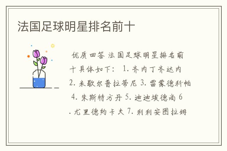 法国足球明星排名前十