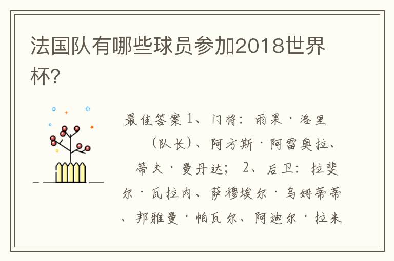 法国队有哪些球员参加2018世界杯?
