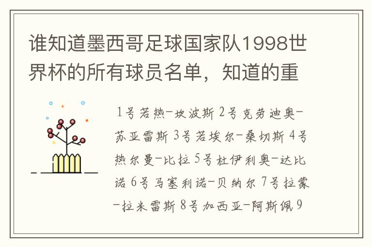 谁知道墨西哥足球国家队1998世界杯的所有球员名单，知道的重赏