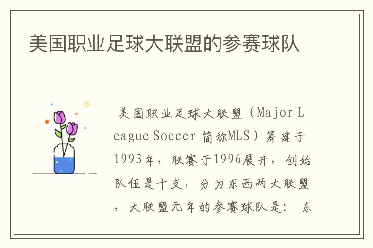 美国职业足球大联盟的参赛球队
