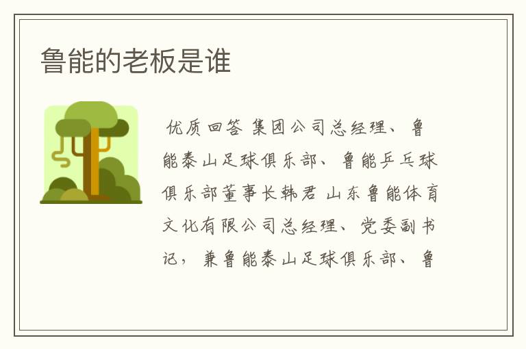 鲁能的老板是谁