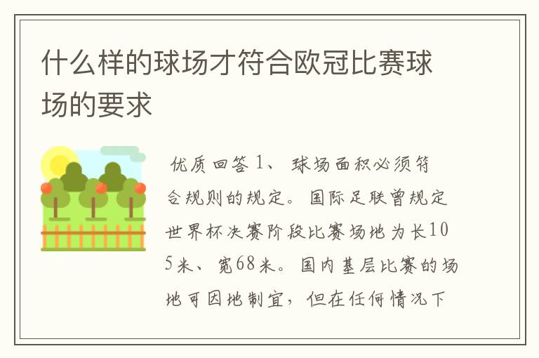 什么样的球场才符合欧冠比赛球场的要求