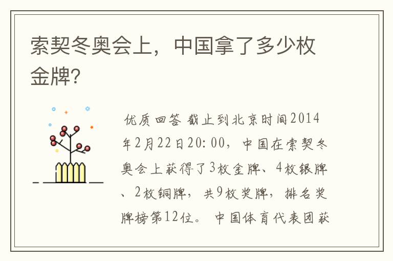 索契冬奥会上，中国拿了多少枚金牌？