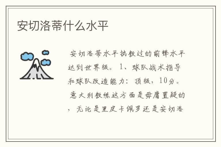 安切洛蒂什么水平