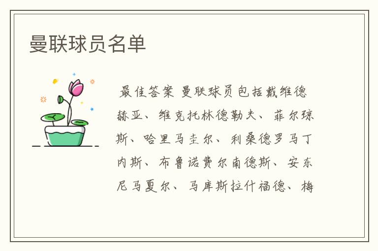 曼联球员名单