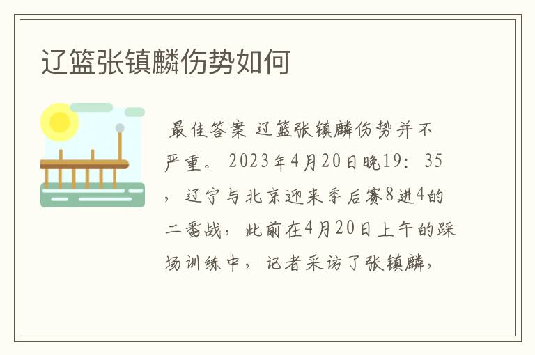 辽篮张镇麟伤势如何