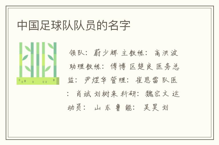 中国足球队队员的名字