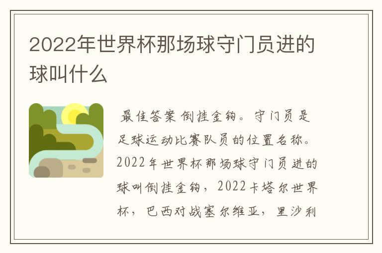 2022年世界杯那场球守门员进的球叫什么