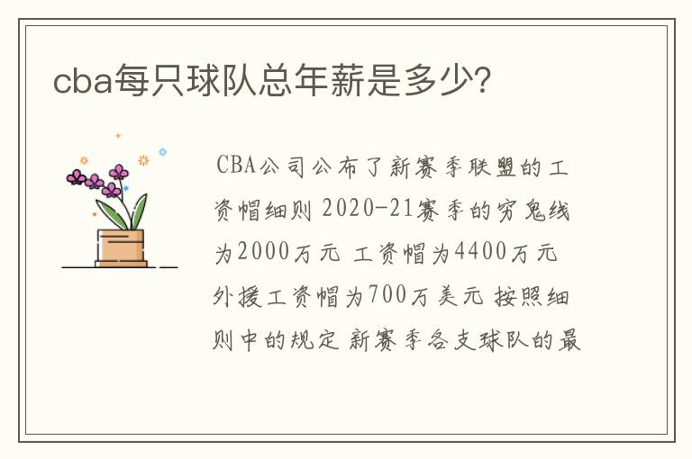 cba每只球队总年薪是多少?