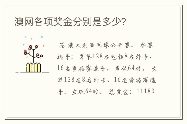 澳网各项奖金分别是多少?
