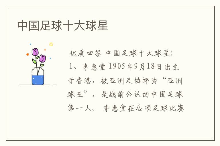 中国足球十大球星