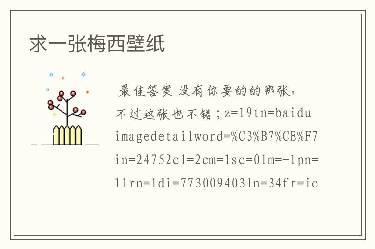 求一张梅西壁纸