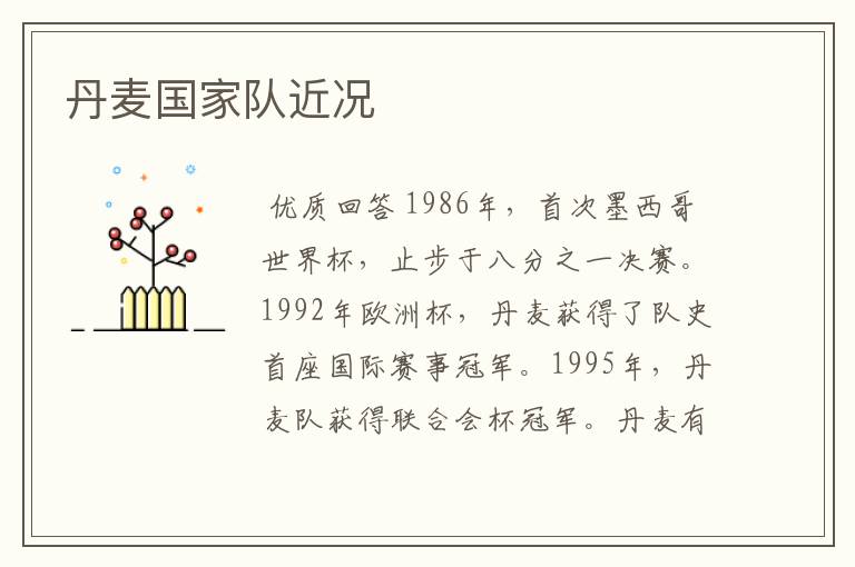 丹麦国家队近况
