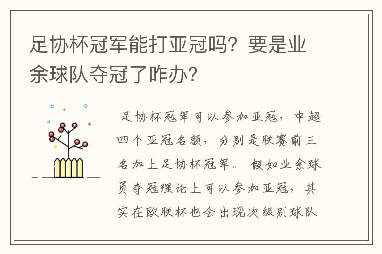 足协杯冠军能打亚冠吗?要是业余球队夺冠了咋办?