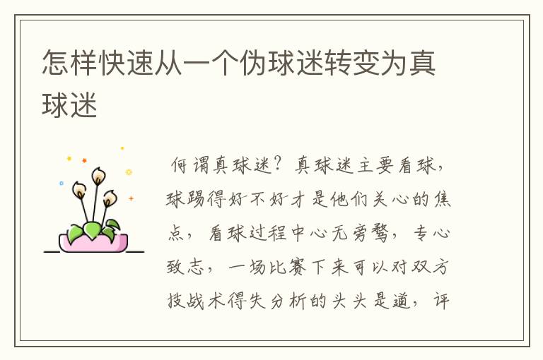 怎样快速从一个伪球迷转变为真球迷