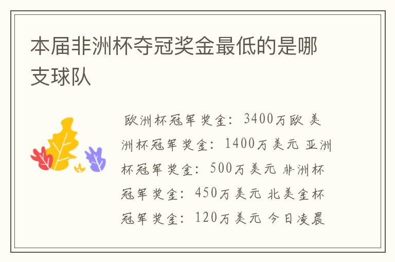 本届非洲杯夺冠奖金最低的是哪支球队