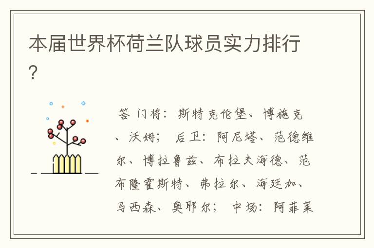本届世界杯荷兰队球员实力排行?