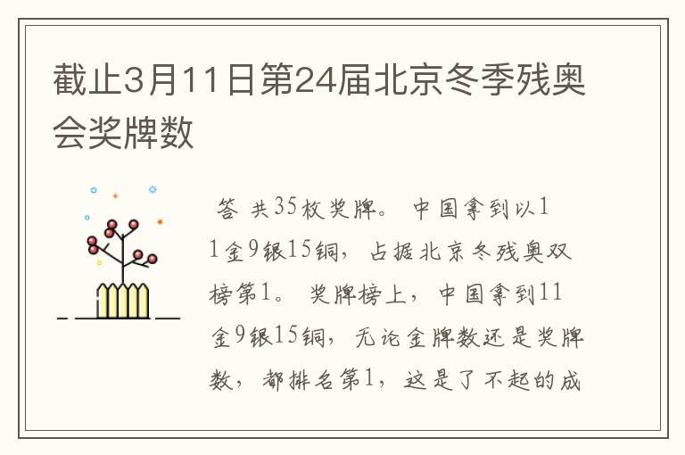 截止3月11日第24届北京冬季残奥会奖牌数