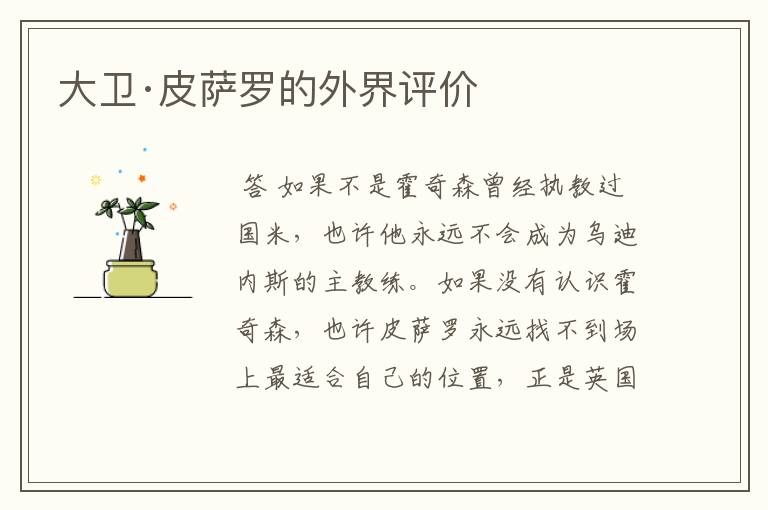 大卫·皮萨罗的外界评价