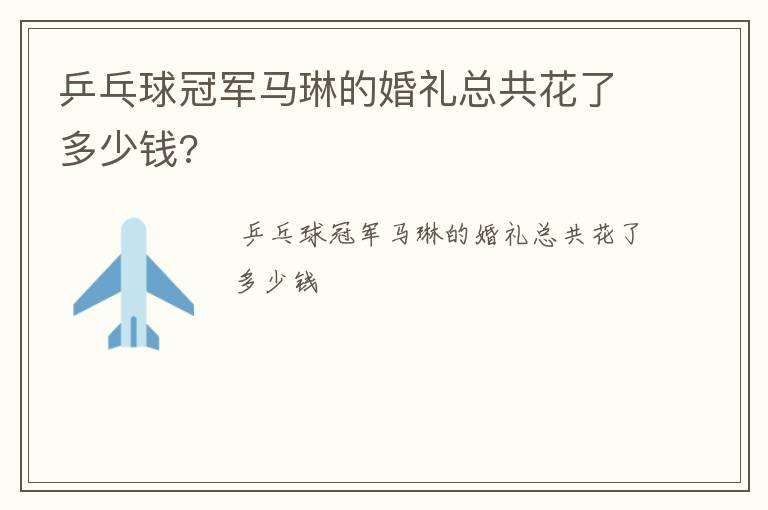 乒乓球冠军马琳的婚礼总共花了多少钱?