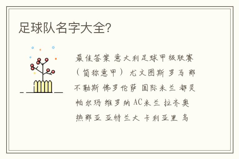 足球队名字大全?