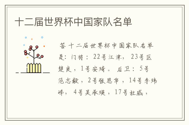 十二届世界杯中国家队名单