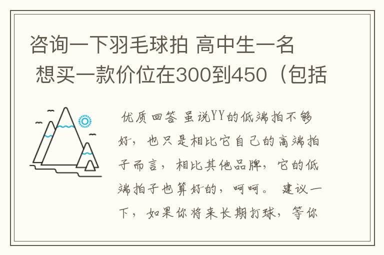 咨询一下羽毛球拍 高中生一名 想买一款价位在300到450(包括拍线和手胶.