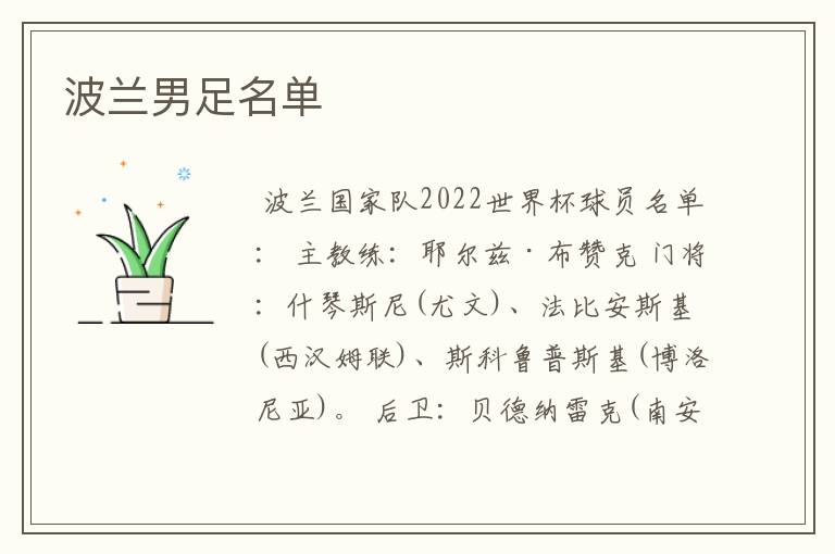 波兰男足名单