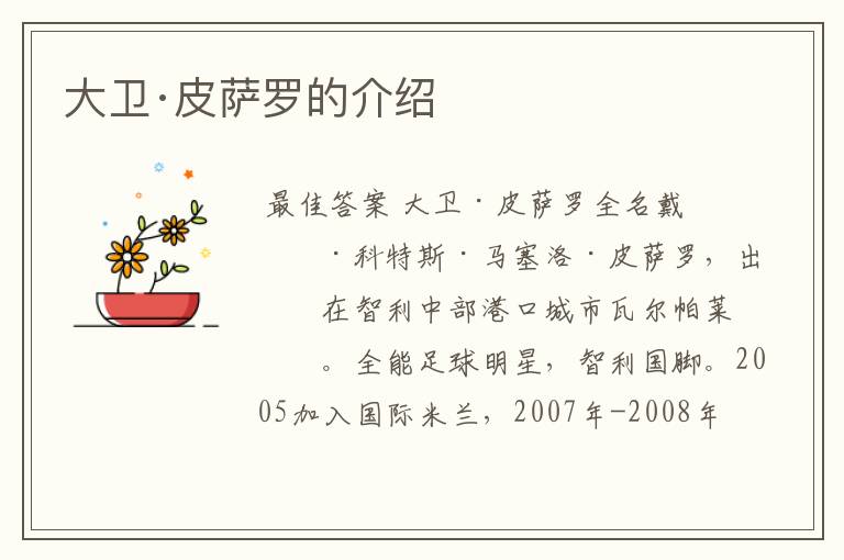 大卫·皮萨罗的介绍