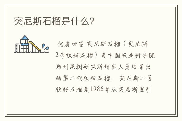 突尼斯石榴是什么?
