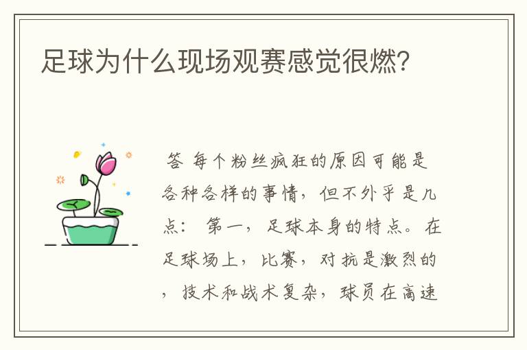 足球为什么现场观赛感觉很燃?