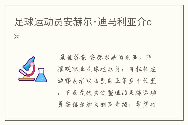 足球运动员安赫尔·迪马利亚介绍