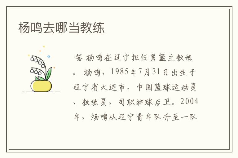 杨鸣去哪当教练
