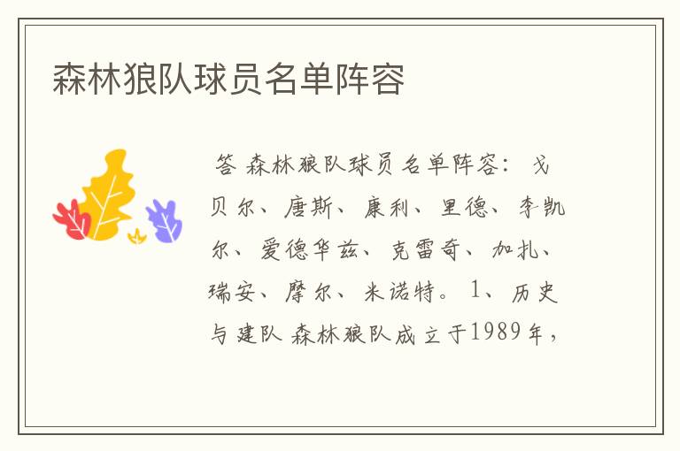 森林狼队球员名单阵容