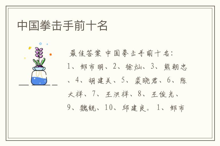 中国拳击手前十名