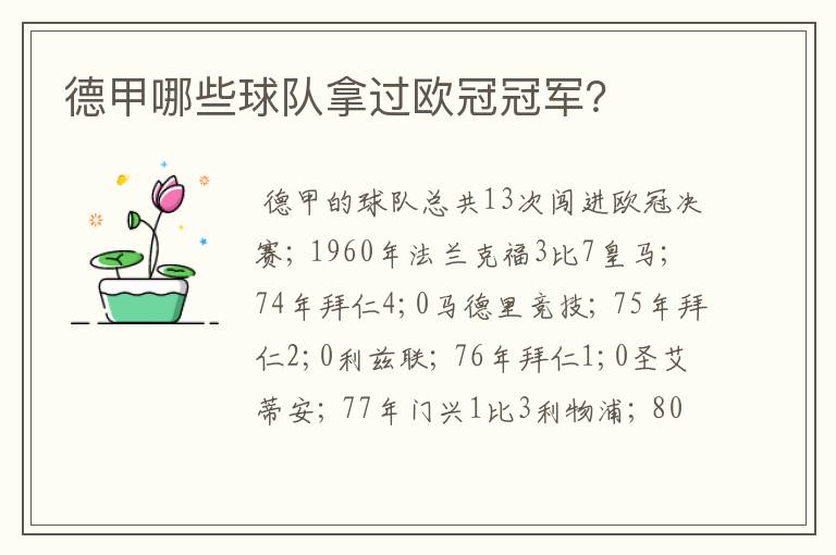 德甲哪些球队拿过欧冠冠军?