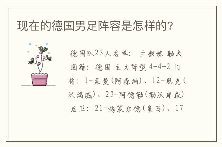 现在的德国男足阵容是怎样的?
