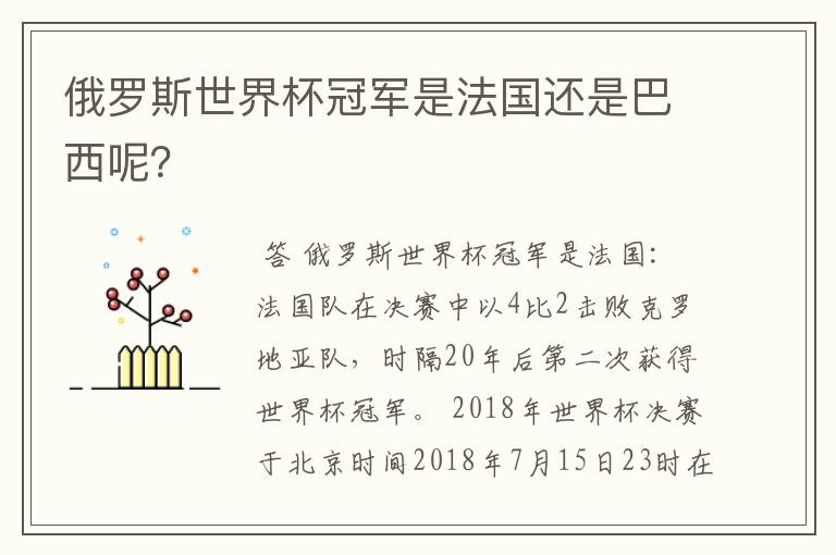 俄罗斯世界杯冠军是法国还是巴西呢?