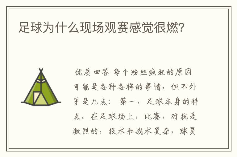 足球为什么现场观赛感觉很燃?