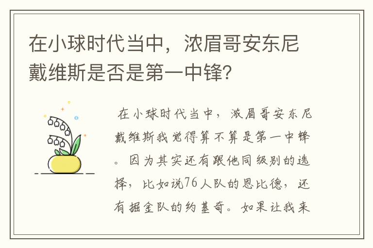 在小球时代当中,浓眉哥安东尼戴维斯是否是第一中锋?