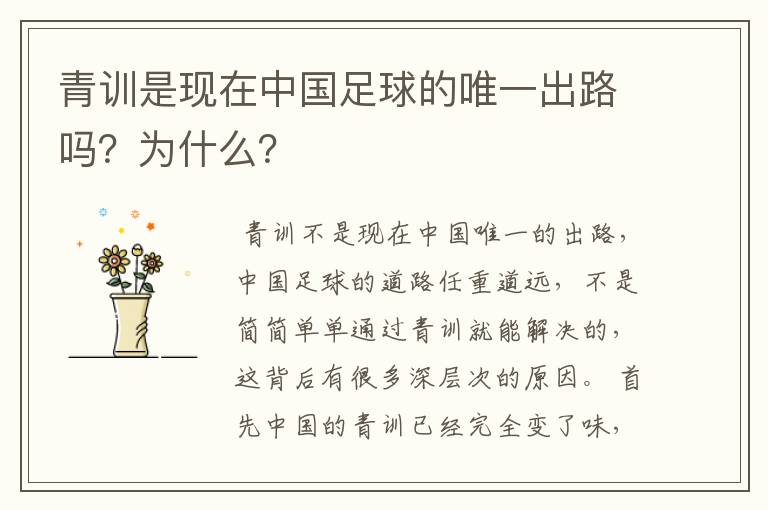 青训是现在中国足球的唯一出路吗?为什么?