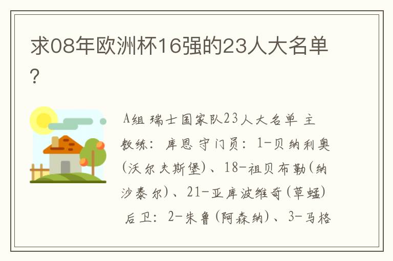 求08年欧洲杯16强的23人大名单?