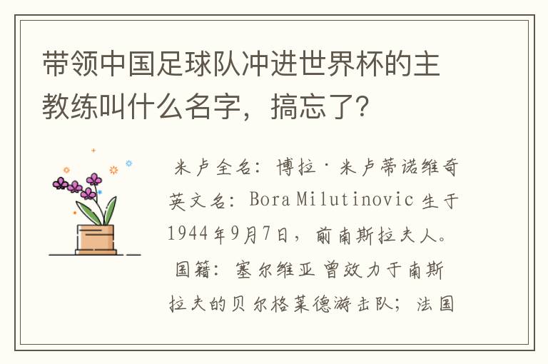 带领中国足球队冲进世界杯的主教练叫什么名字,搞忘了?