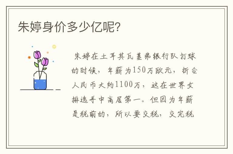 朱婷身价多少亿呢?