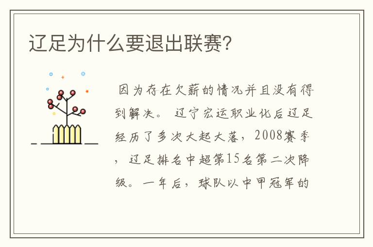 辽足为什么要退出联赛？