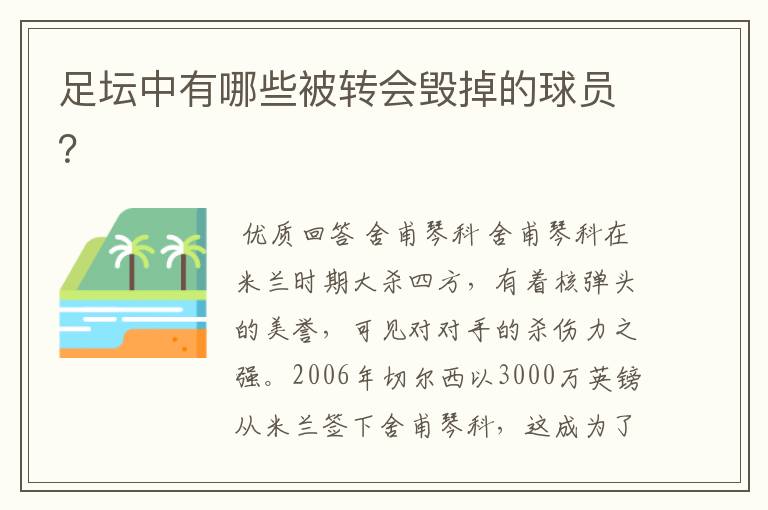 足坛中有哪些被转会毁掉的球员?