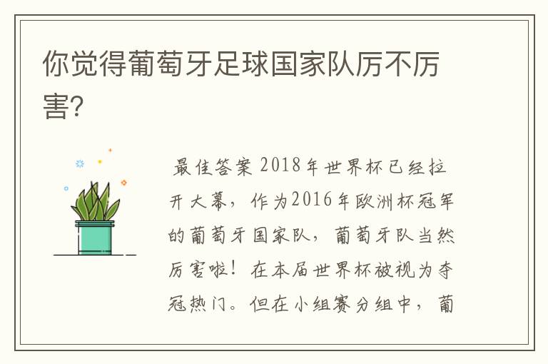 你觉得葡萄牙足球国家队厉不厉害？